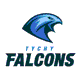 Tychy Falcons - Futbol Amerykański