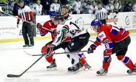 Hokej: GKS Tychy - TMH Tempish Polonia Bytom (2016.11.11) [galeria]