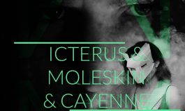 Icterus, Moleskin i Cayenne w Tawernie