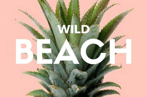 Wild Beach – Dzika impreza na Dzikiej Plaży