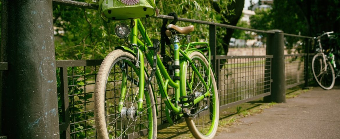 Wycieczka rowerowa do Mini-Arboretum w Bieruniu