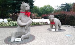 Misie z Parku Niedźwiadków mają imiona [foto]