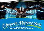 Otwarte Mistrzostwa Górnego Śląska w pływaniu w kategorii "Masters"