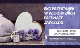 Pachnące Zawieszki - Eko Przystanek w Wilkowyjach