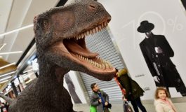 Wystawa skamielin i dinozaurów do końca stycznia w tyskim Gemini