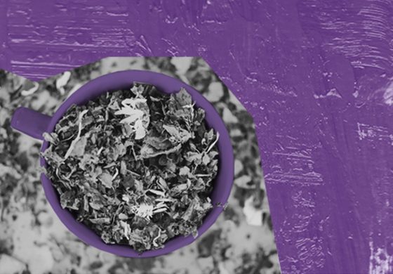 Warsztaty ziołowo-herbaciane – Eko Przystanek w Wilkowyjach