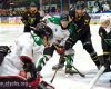 Hokej: GKS Tychy - GKS Katowice (2021.09.24) [galeria]
