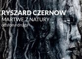 Wystawa Ryszarda Czernowa Martwe z natury w galerii Obok