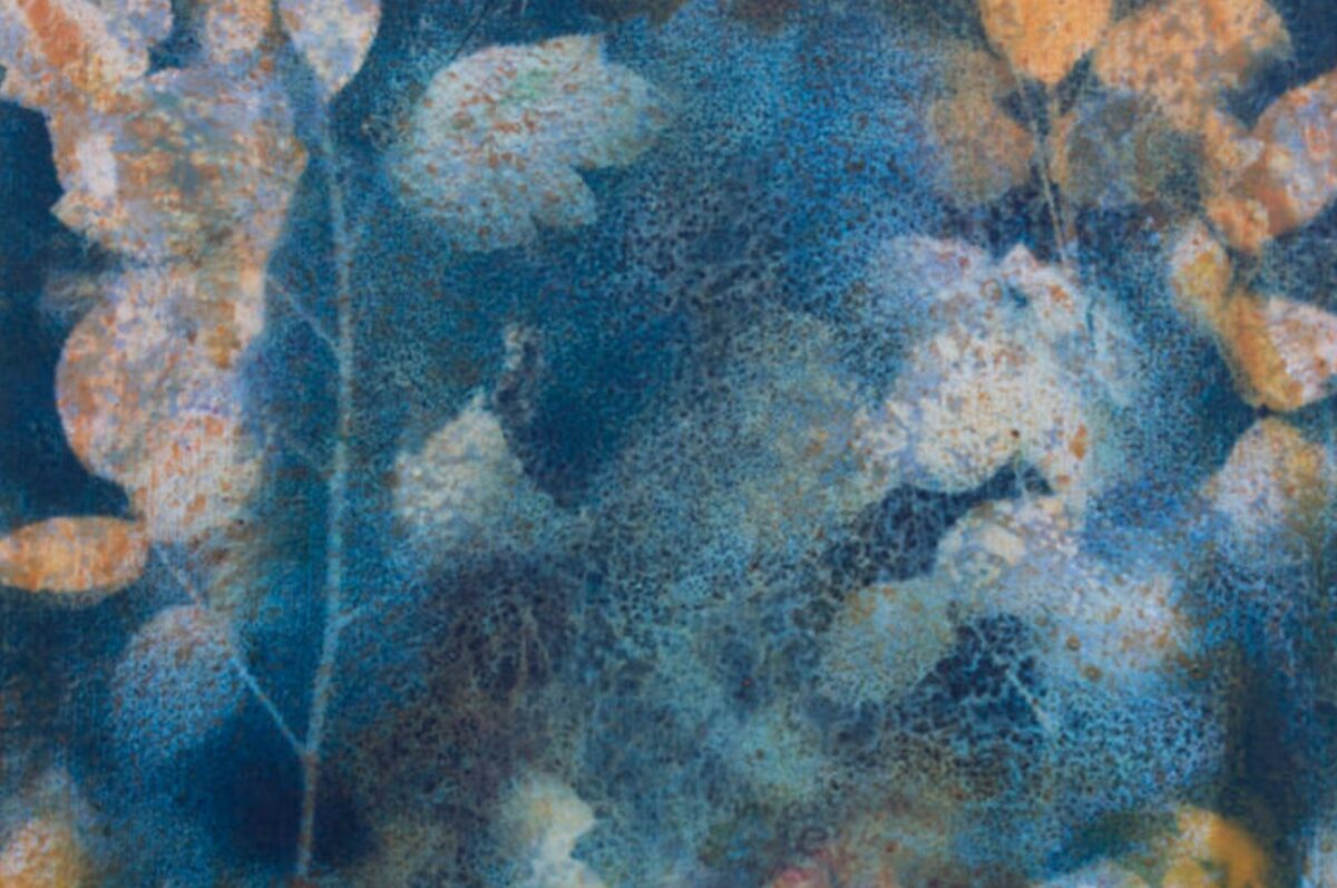 „W moim ogrodzie” malarstwo Ewy Kozery w Galerii Obok