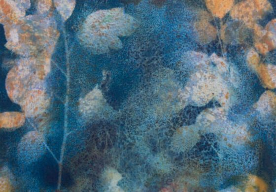 „W moim ogrodzie” – wernisaż wystawy malarstwa Ewy Kozery w Galerii Obok