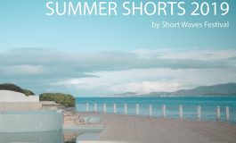 Summer Shorts w MCK Wilkowyje